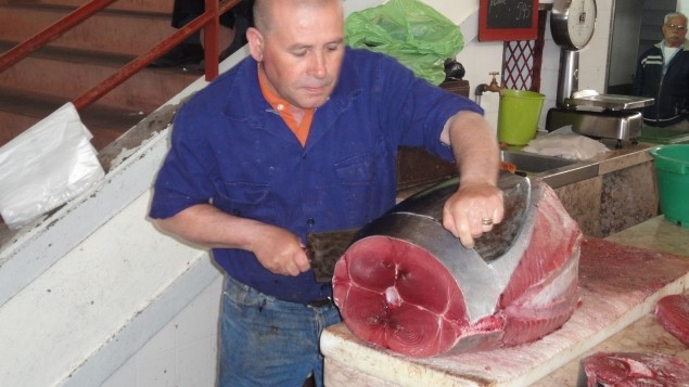 Мясо тунца и его польза для человека в рационе