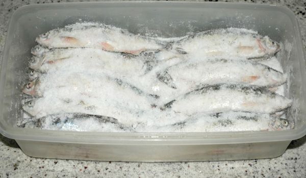 Что такое сухой посол и чем хороша такая рыба?